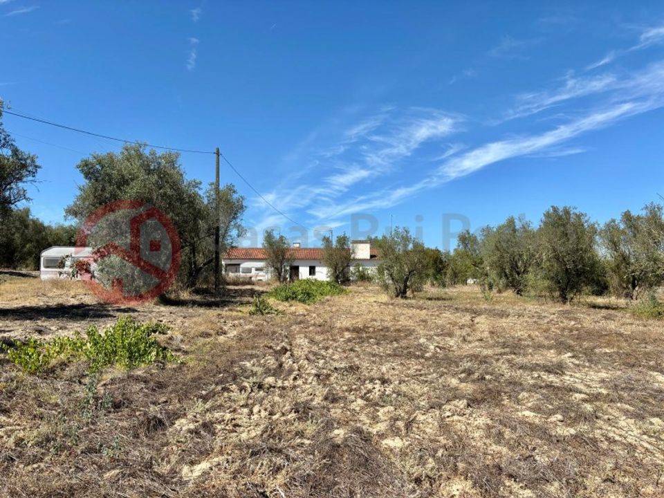 Farm i Couco, Santarem - foto 4