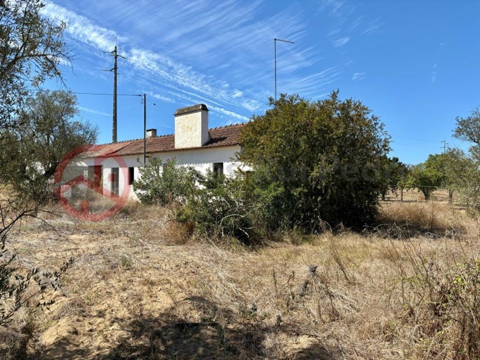 Farm i Couco, Santarem - foto 1