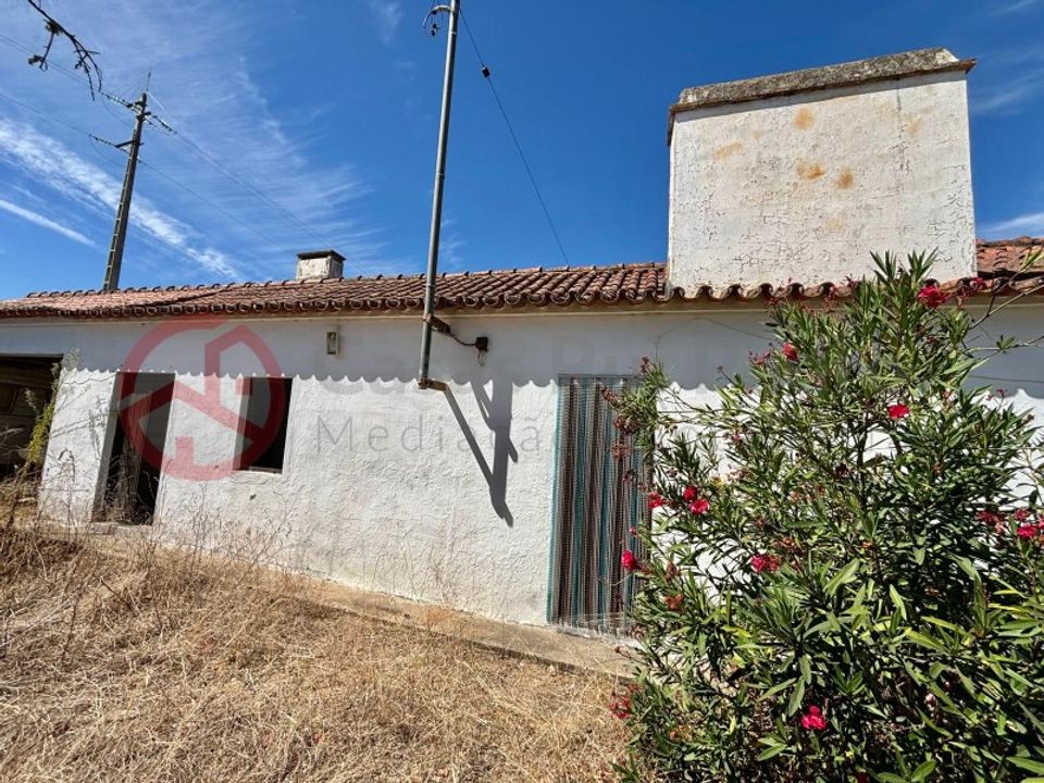 Farm i Couco, Santarem - foto 2