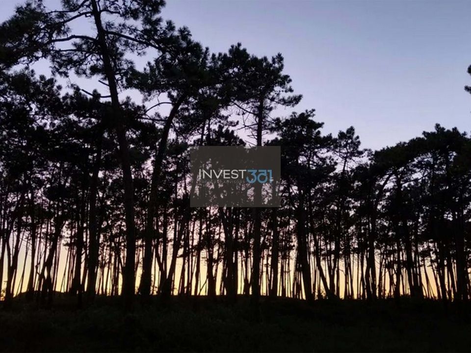 Lejlighed i Esposende, Braga - foto 4