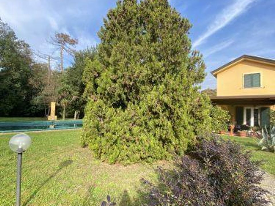 Villa i Castelnuovo Magra, La Spezia - foto 3