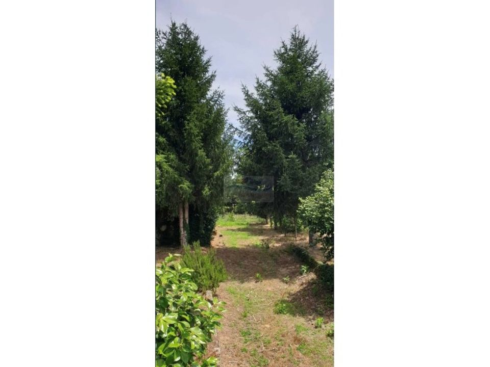 Helårsgrund i Tondela, Viseu - foto 2