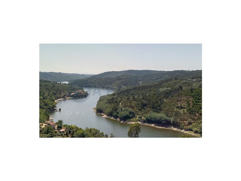 Helårsgrund i Carregal do Sal, Viseu - foto 4