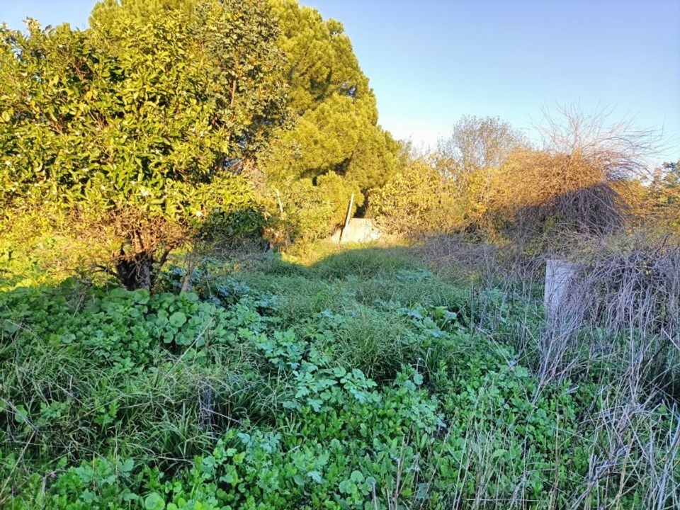 Granja a Faro, Faro - foto 3