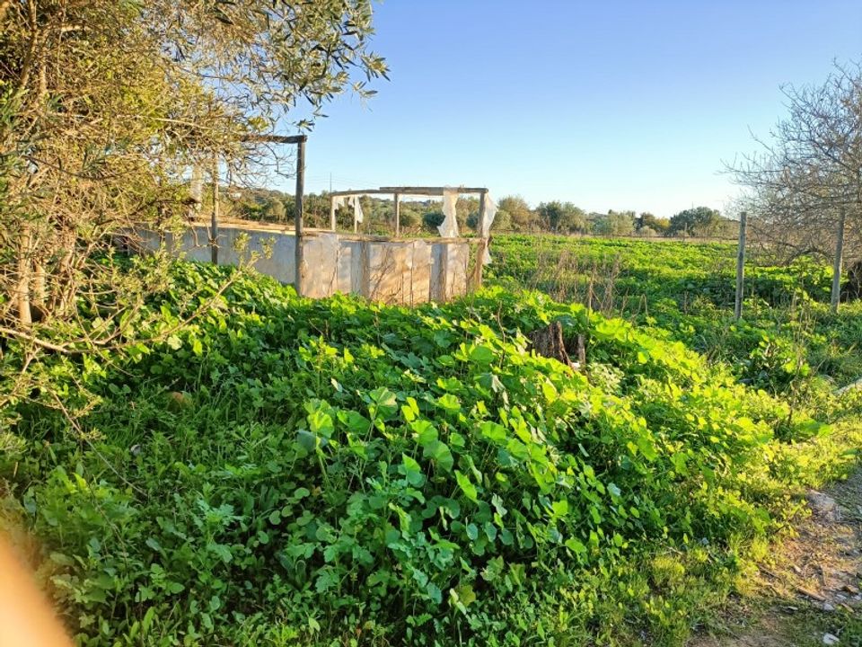 Granja a Faro, Faro - foto 4