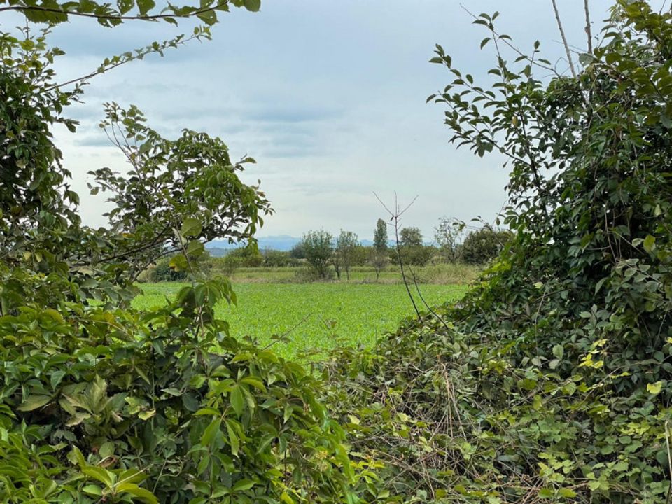 Helårsgrund i Montichiari, Brescia - foto 2