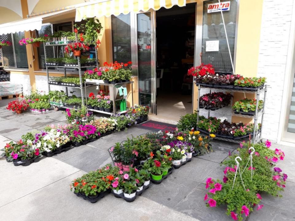 Erhvervsejendom i Calvisano, Brescia - foto 4