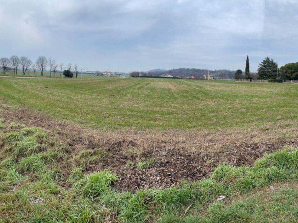 Helårsgrund i Solferino, Mantua - foto 3
