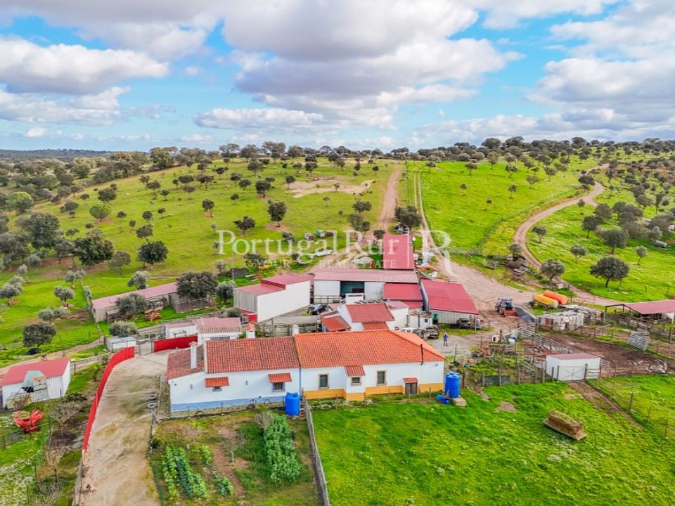 Masia a Evora, Evora - foto 2