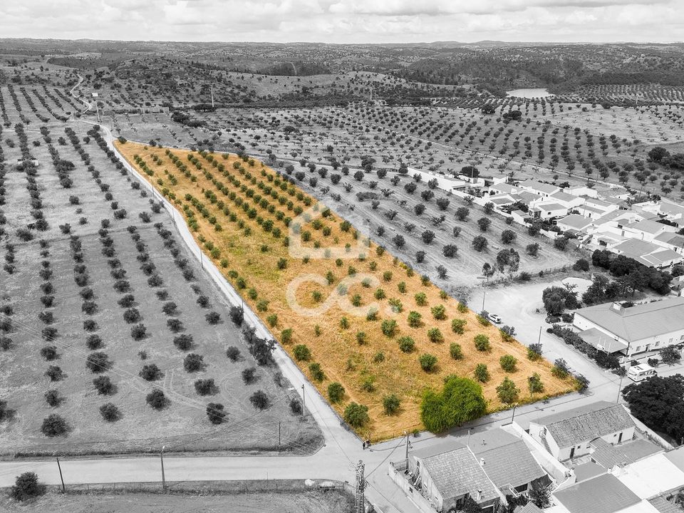 Terreno en Portel, Evora - foto 3
