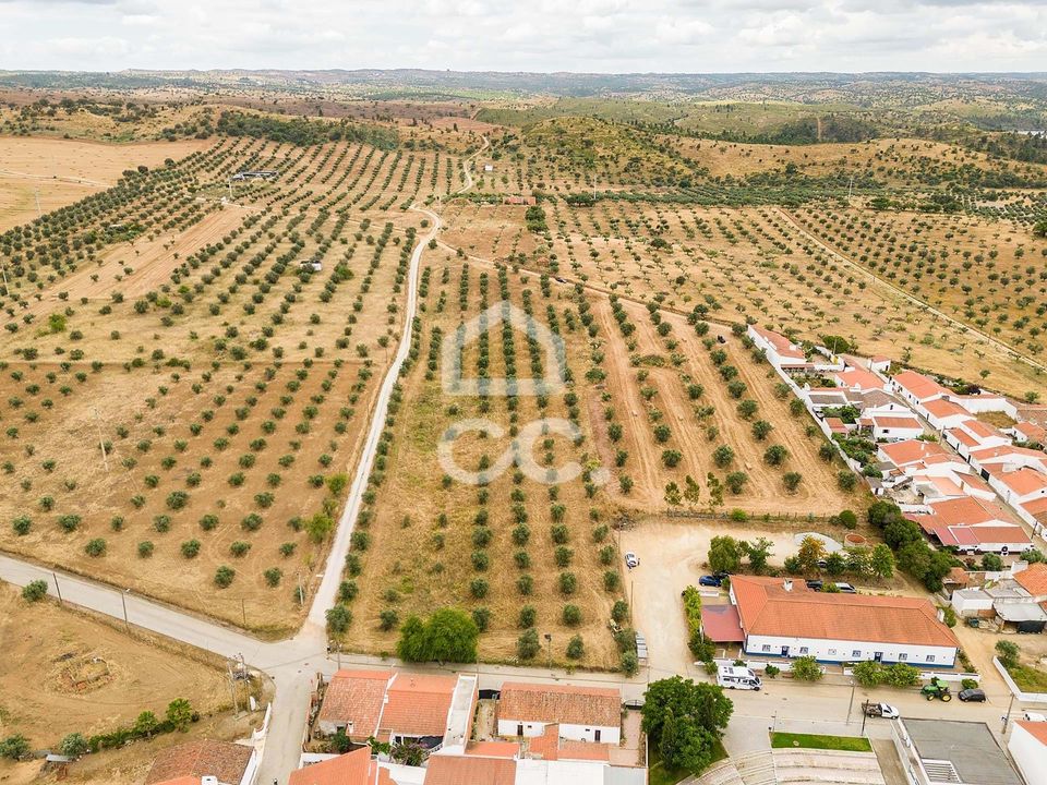 Terreno en Portel, Evora - foto 4