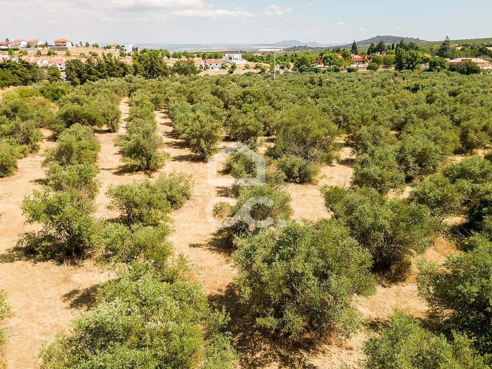 Helårsgrund i Elvas, Portalegre - foto 2