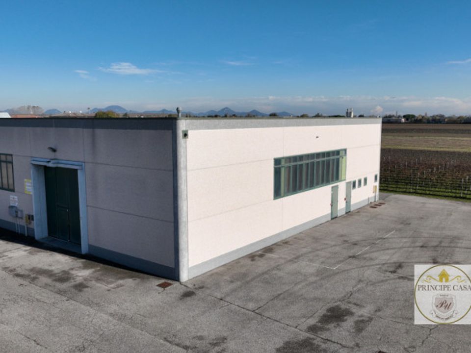 Erhvervsejendom i Casale di Scodosia, Padua - foto 2