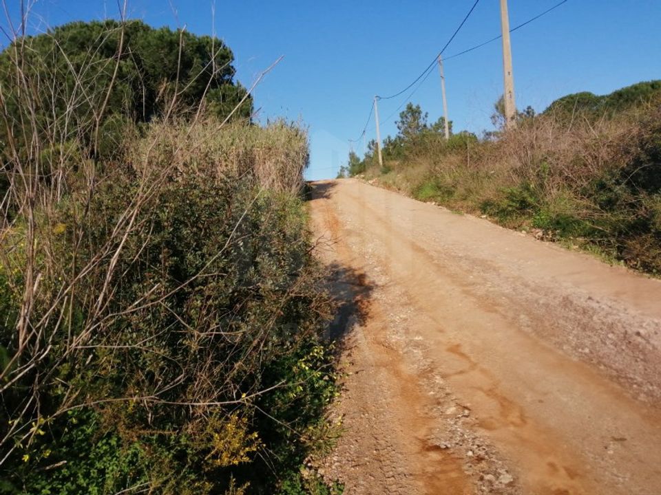 Terra a Quinta do Anjo, Setubal - foto 1