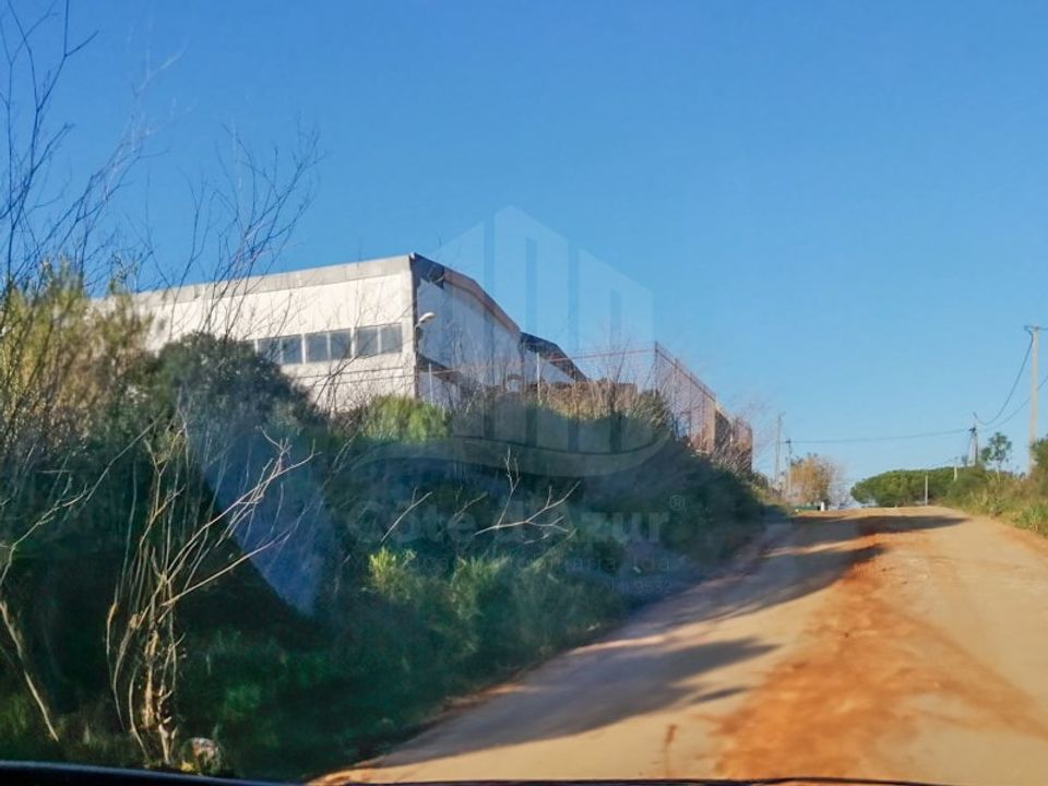 Terra a Quinta do Anjo, Setubal - foto 3