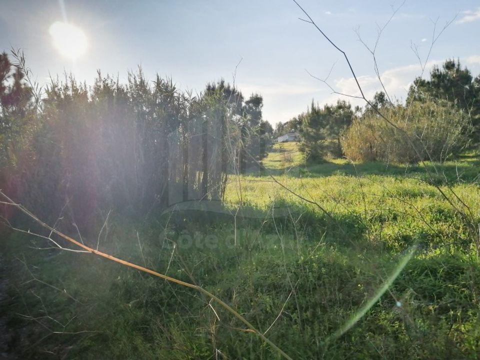 Terra a Quinta do Anjo, Setubal - foto 4