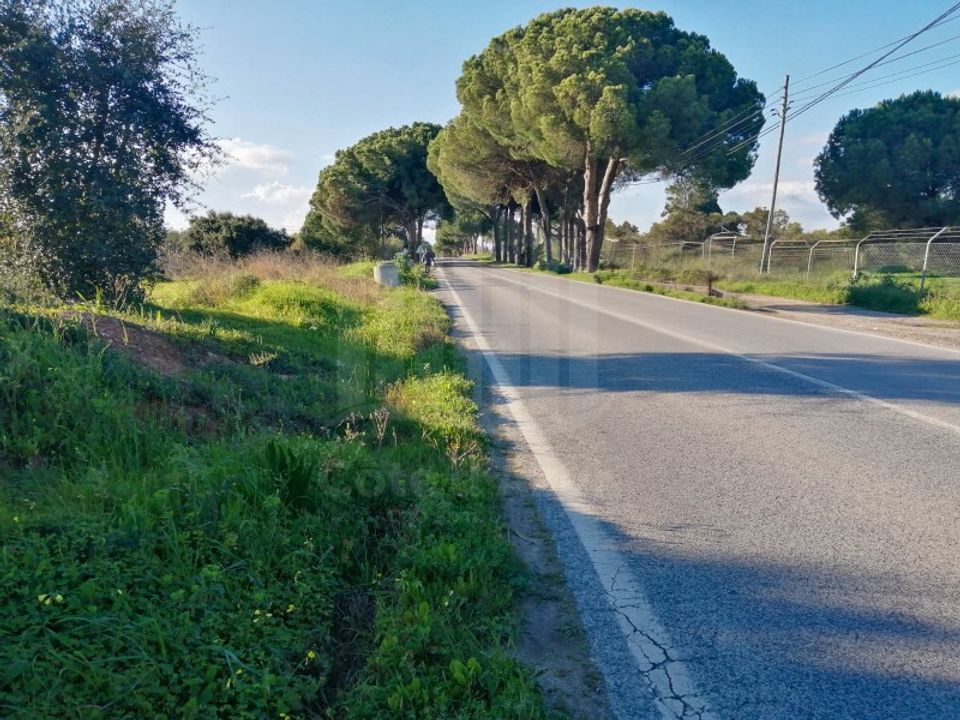Helårsgrund i Quinta do Anjo, Setubal - foto 1