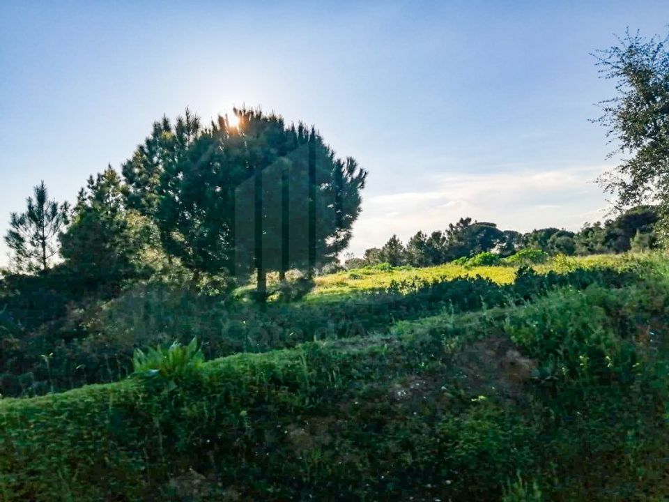 Helårsgrund i Quinta do Anjo, Setubal - foto 2