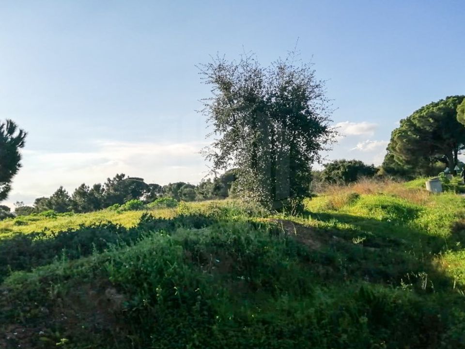 Helårsgrund i Quinta do Anjo, Setubal - foto 3