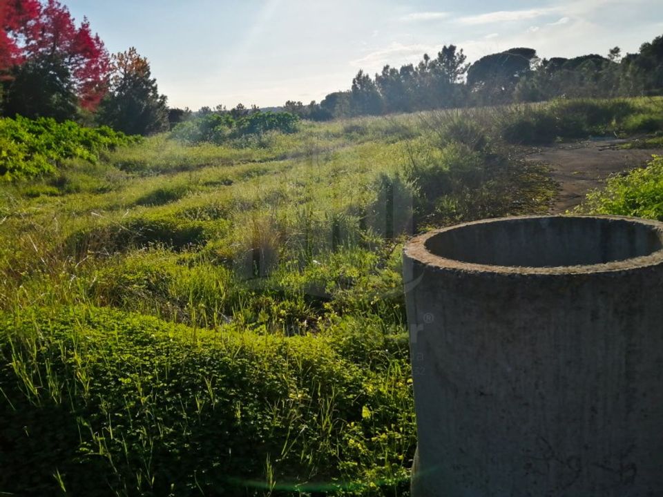 Helårsgrund i Quinta do Anjo, Setubal - foto 5