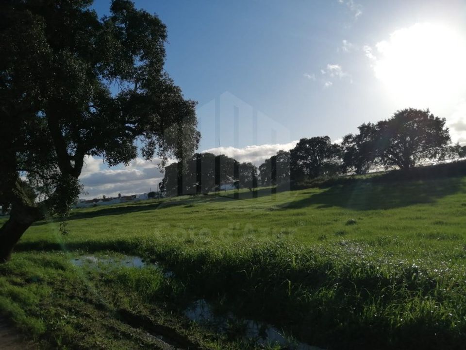 Helårsgrund i Montijo, Setubal - foto 2