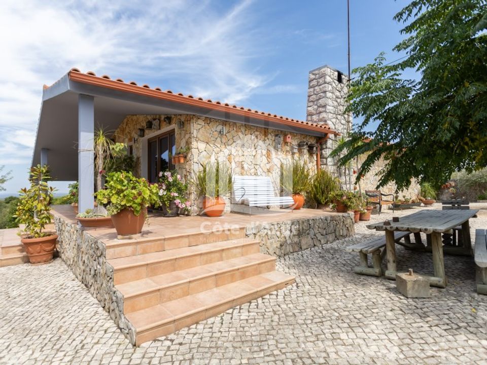 Farm i Brejos de Azeitao, Setubal - foto 3