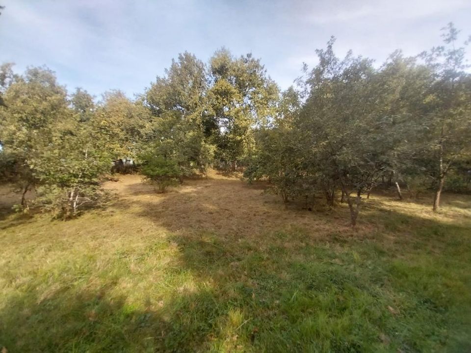 Tomt i Saugnacq-et-Muret, Landes - bilde 2