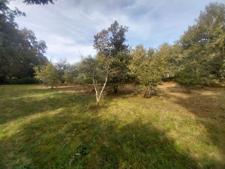 Tomt i Saugnacq-et-Muret, Landes - bilde 3