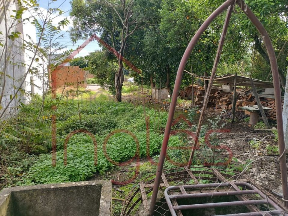 Helårsgrund i Almeirim, Santarem - foto 4