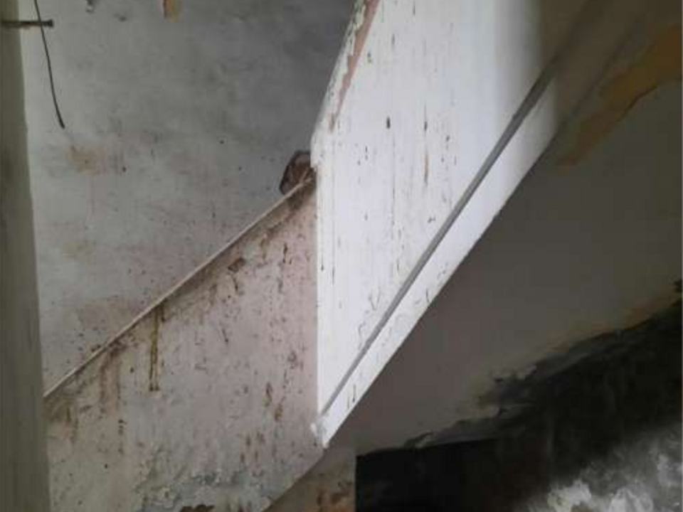 Byhus i Forli, Forli-Cesena - foto 2