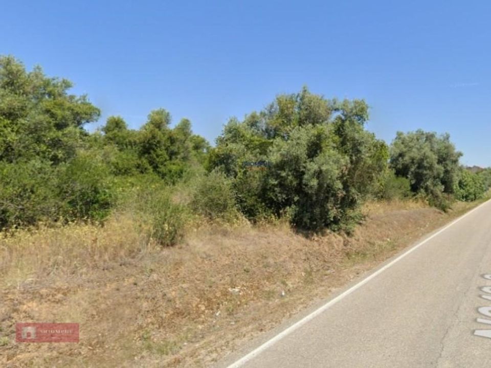 Helårsgrund i Olaia e Paco, Santarem - foto 1