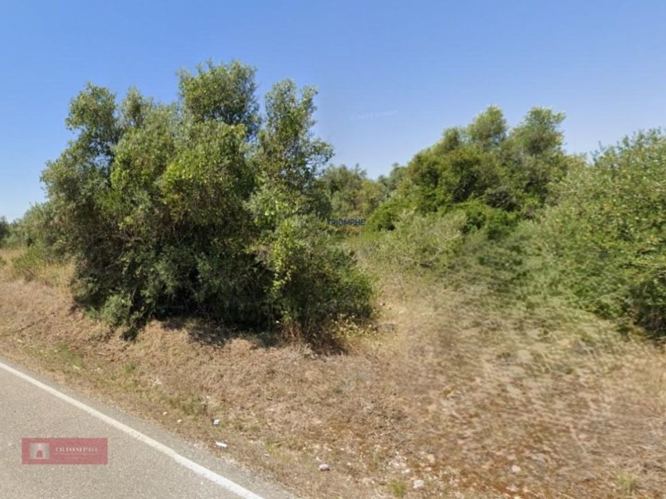Helårsgrund i Olaia e Paco, Santarem - foto 3