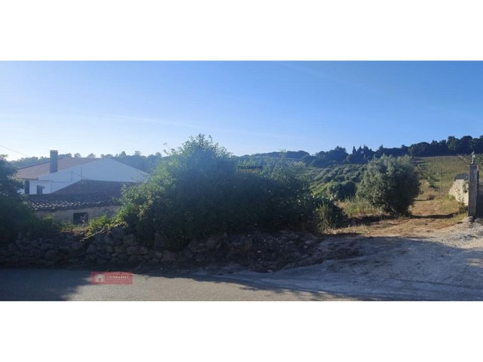 Villa i Aljubarrota, Leiria - foto 5