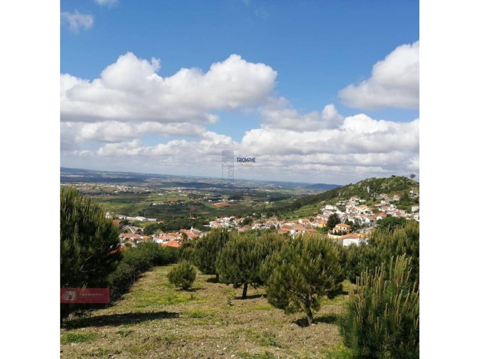 Helårsgrund i Cadaval, Lisbon - foto 4