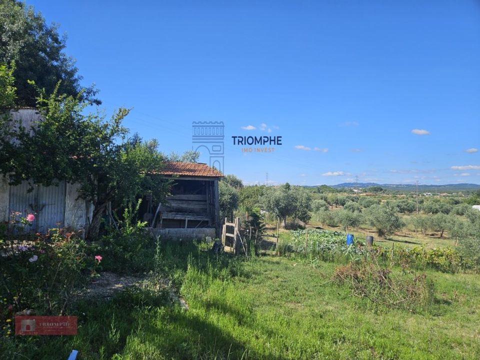 Helårsgrund i Tomar, Santarem - foto 2