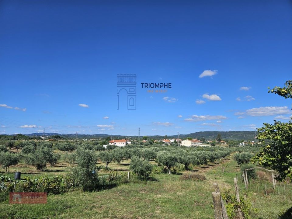 Helårsgrund i Tomar, Santarem - foto 3