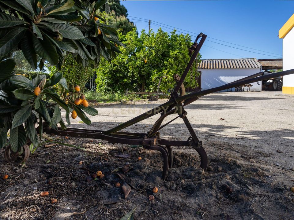 Villa i Montijo, Setubal - foto 5