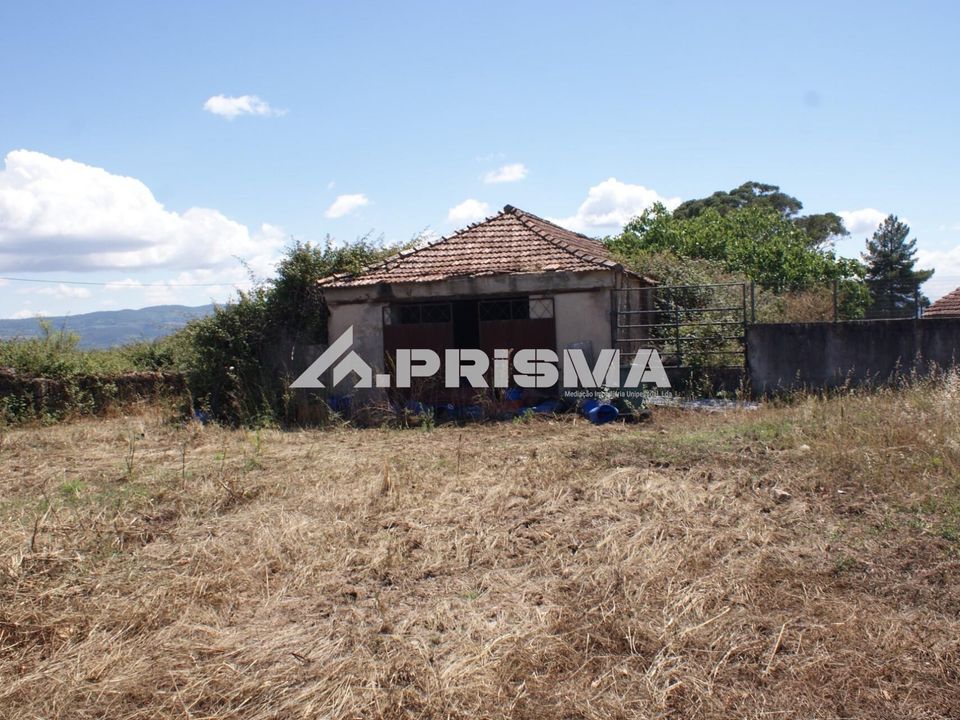 Helårsgrund i Fundao, Castelo Branco - foto 4