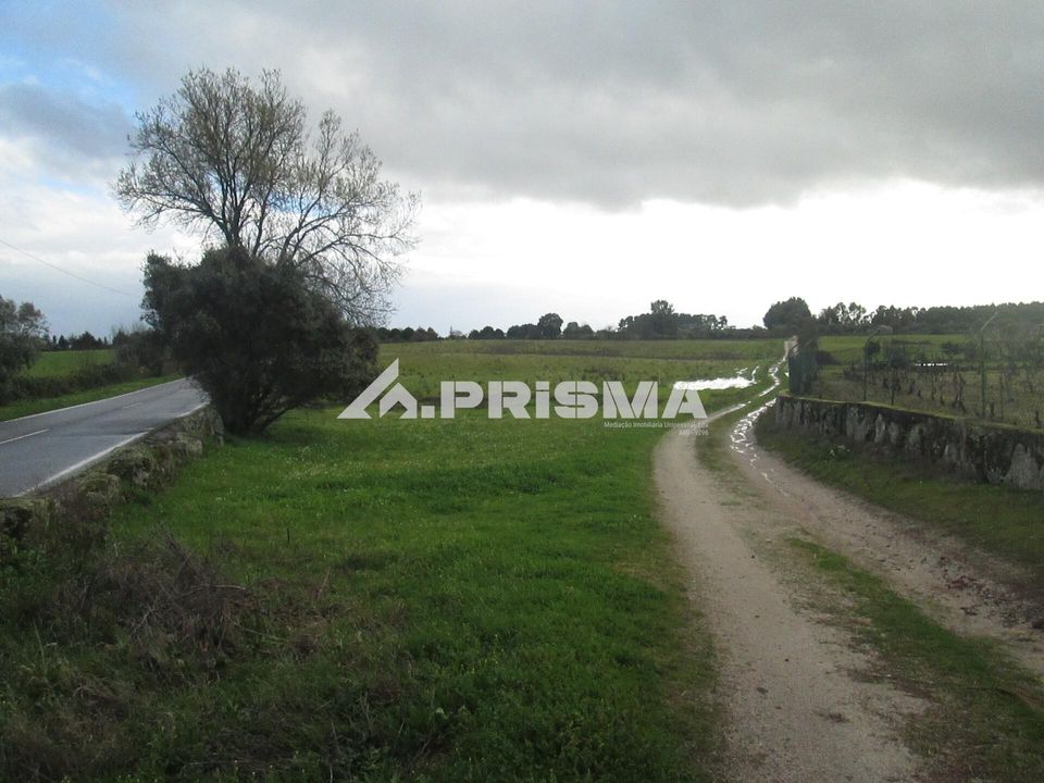Helårsgrund i Castelo Branco, Castelo Branco - foto 1