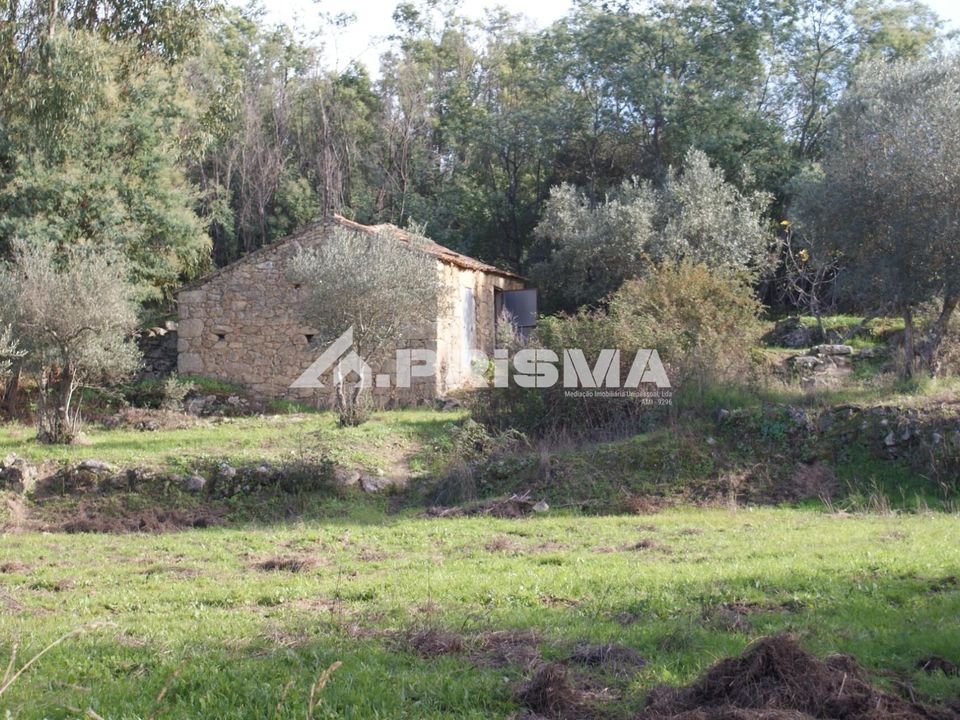 Terra a Penamacor, Castelo Branco - foto 1