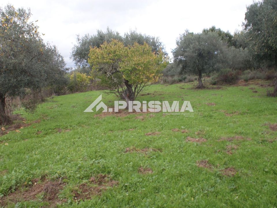 Terra a Penamacor, Castelo Branco - foto 2