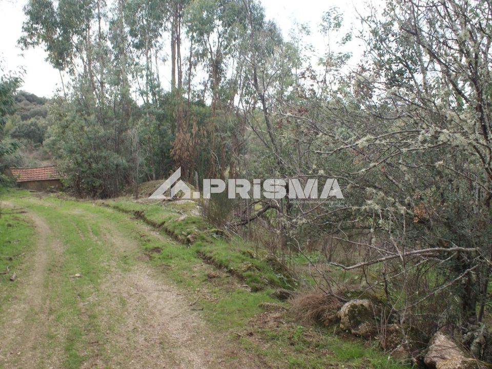 Terra a Penamacor, Castelo Branco - foto 4
