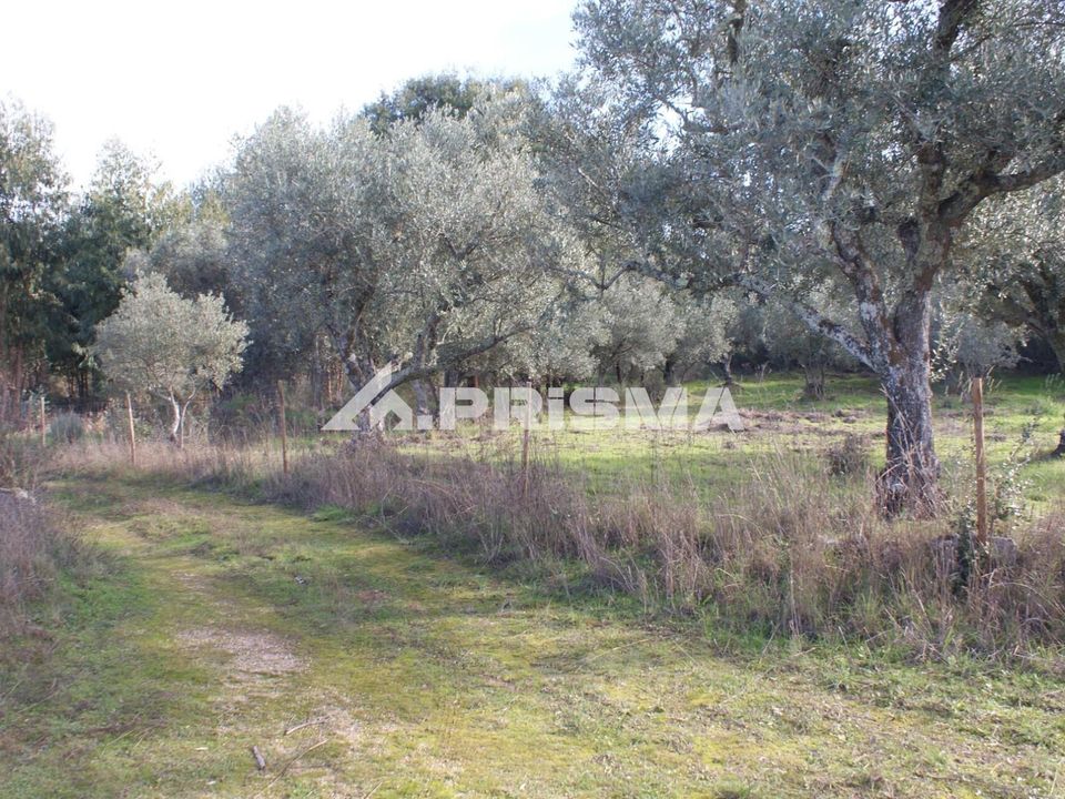Terra a Penamacor, Castelo Branco - foto 5