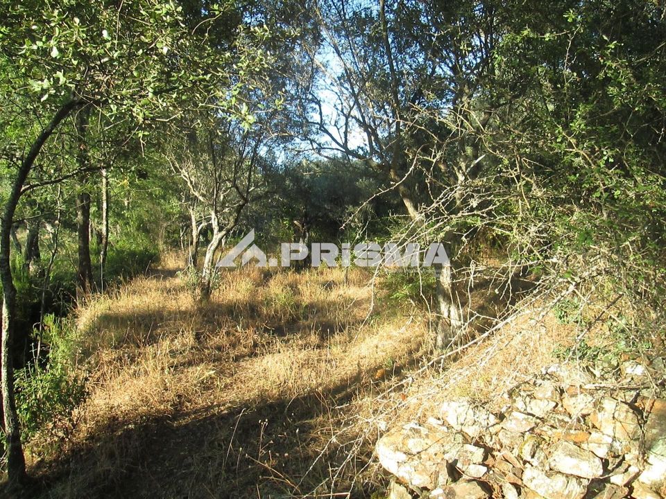 Helårsgrund i Idanha-a-Nova, Castelo Branco - foto 3