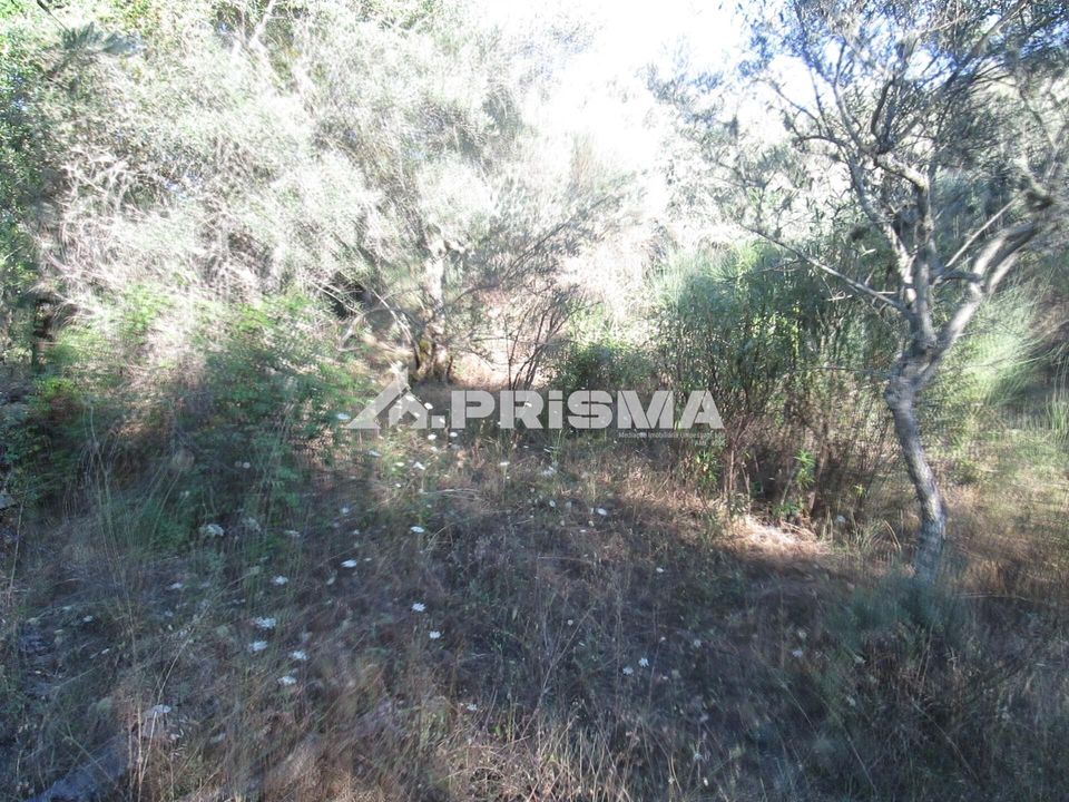 Helårsgrund i Idanha-a-Nova, Castelo Branco - foto 4