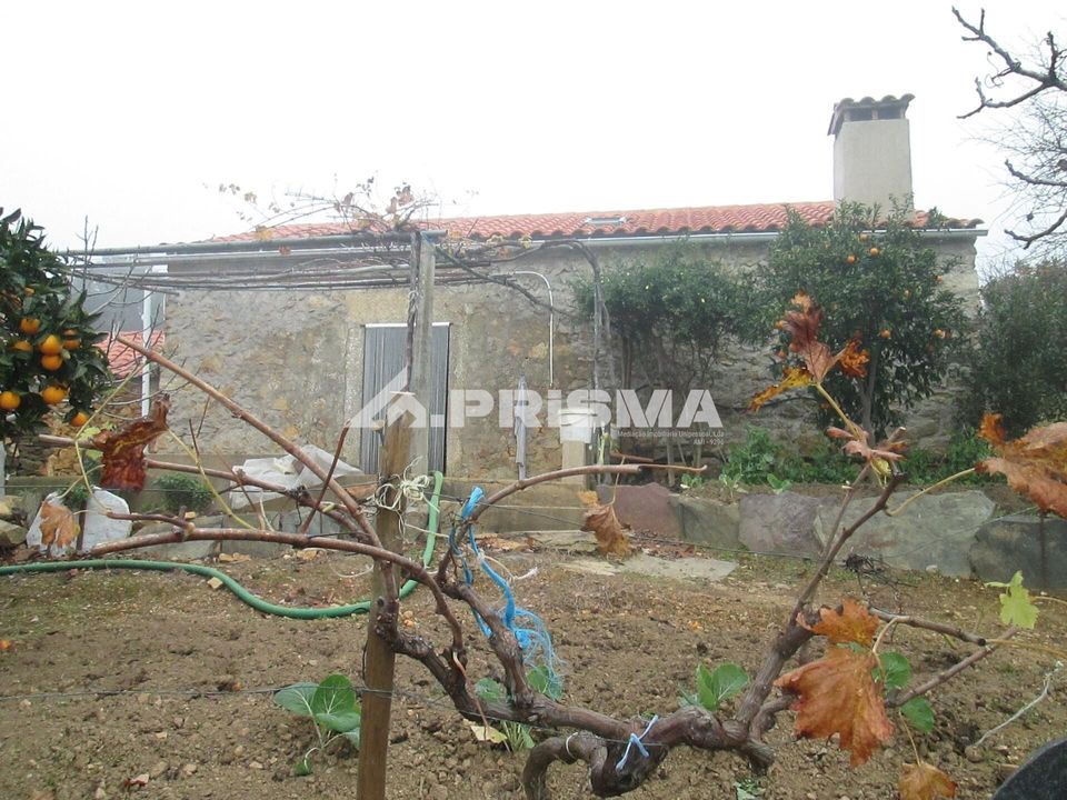 Helårsgrund i Idanha-a-Nova, Castelo Branco - foto 1
