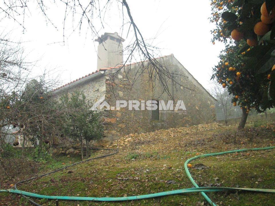 Helårsgrund i Idanha-a-Nova, Castelo Branco - foto 2