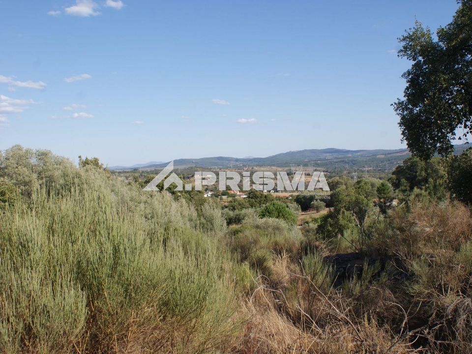 Helårsgrund i Fundao, Castelo Branco - foto 2