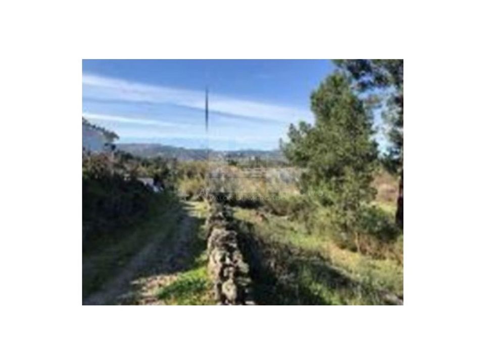 Helårsgrund i Chaves, Vila Real - foto 3