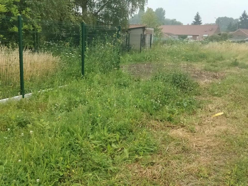 Helårsgrund i Roost-Warendin, Nord - foto 2